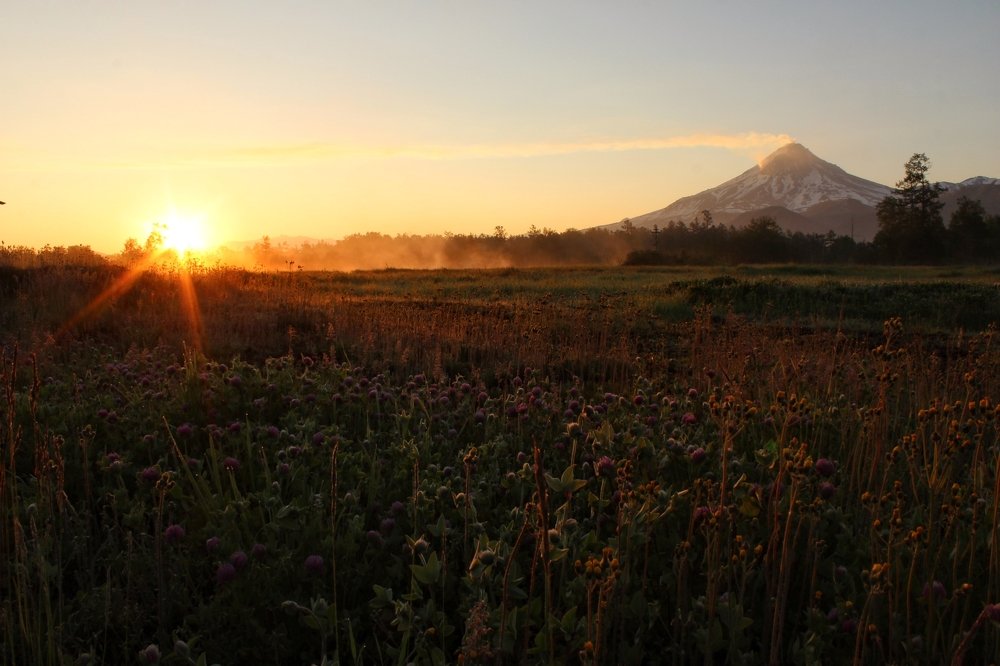 Первые лучи