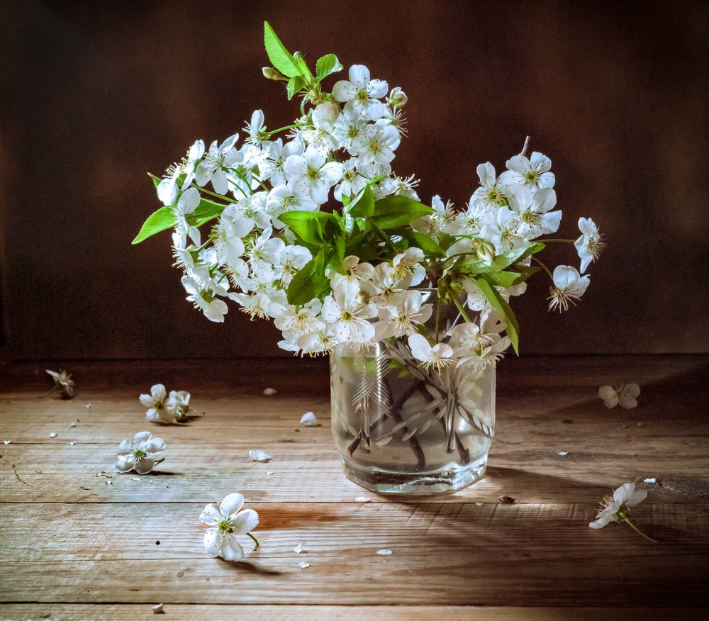 Цветы вишни