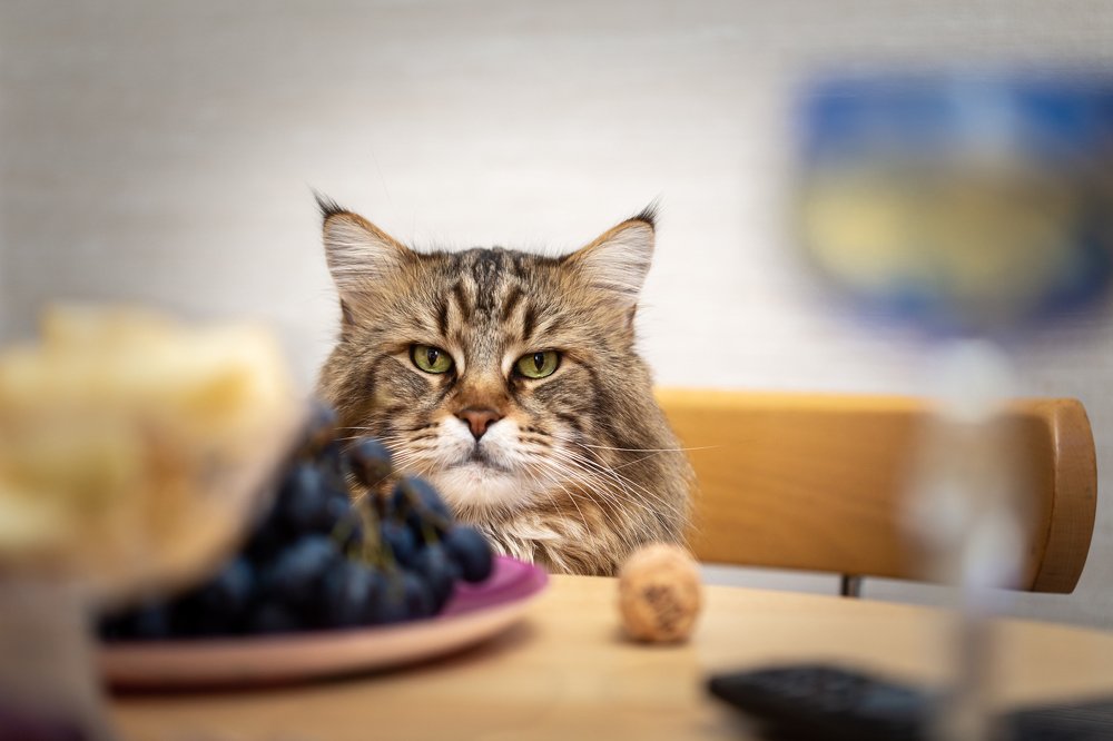 День рождения - грустный праздник