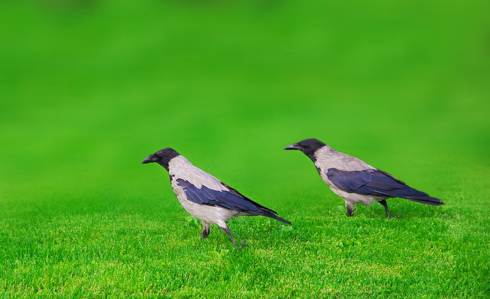 Photograph by Чмиль Валерия