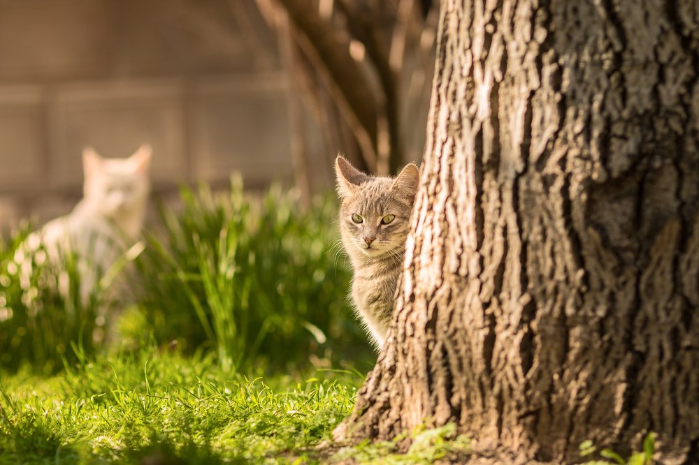 Photograph by Чмиль Валерия