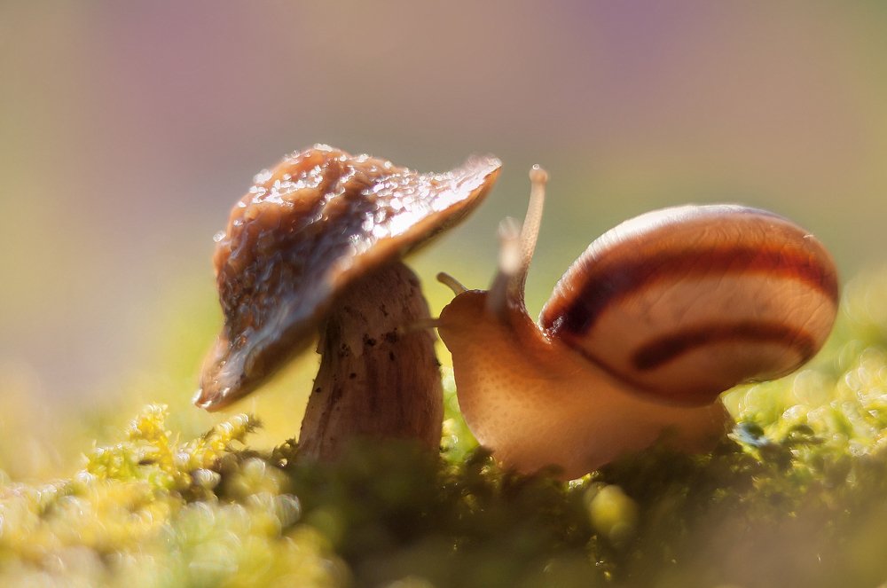 Photograph by Олеся