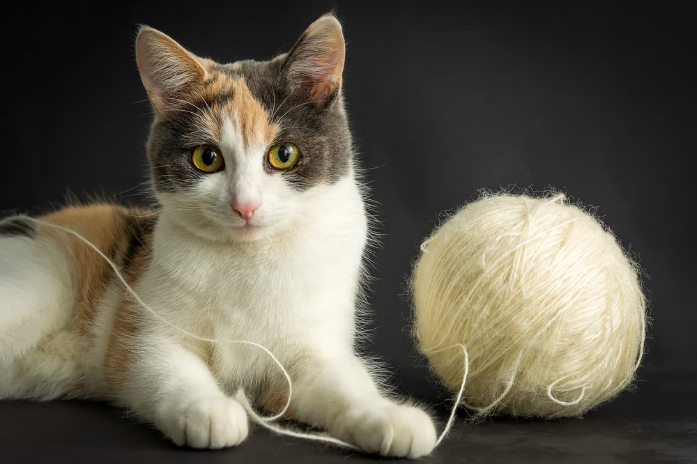 Photograph by Валерий Патар