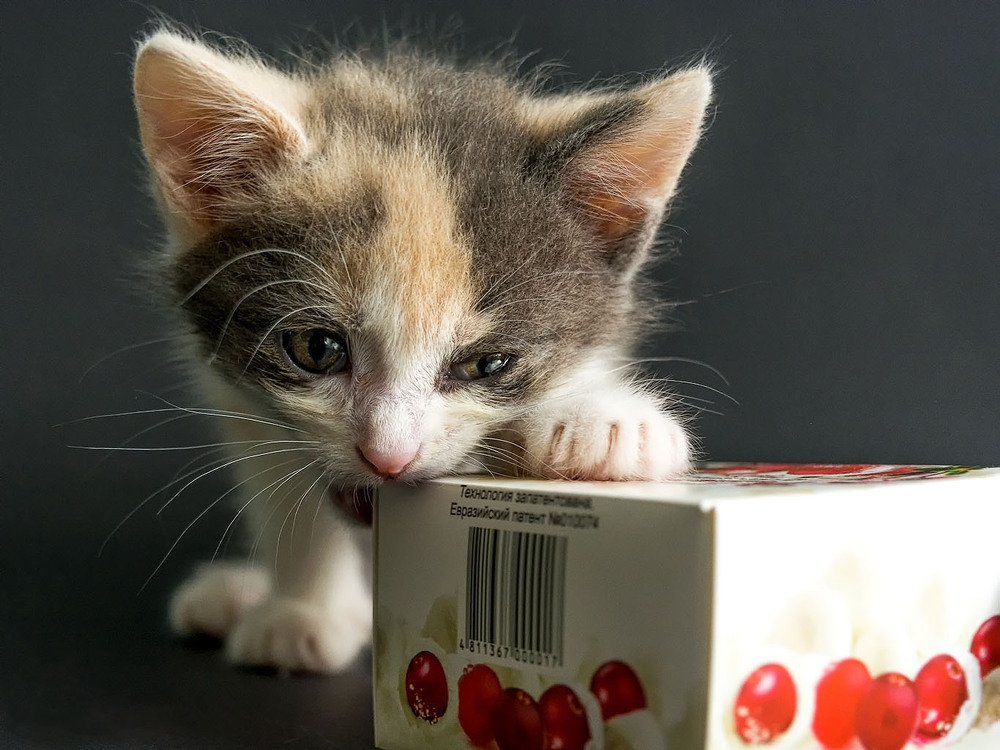 Photograph by Валерий Патар