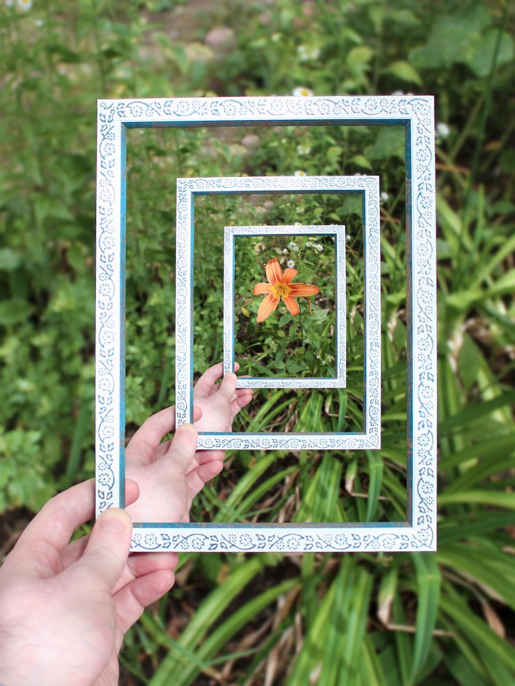 Одинокий цветок