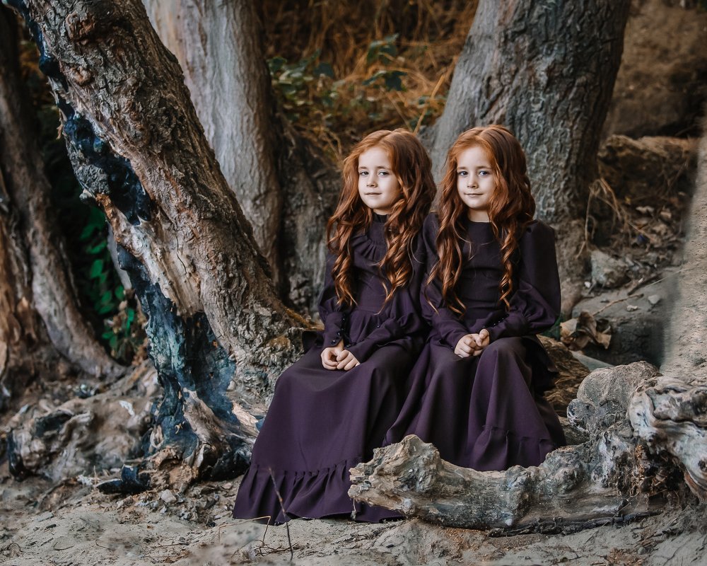 Лисички-сестрички