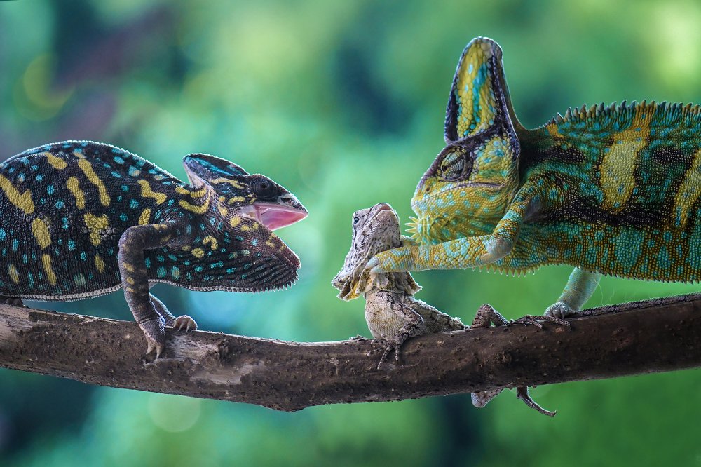 don't disturb her !!