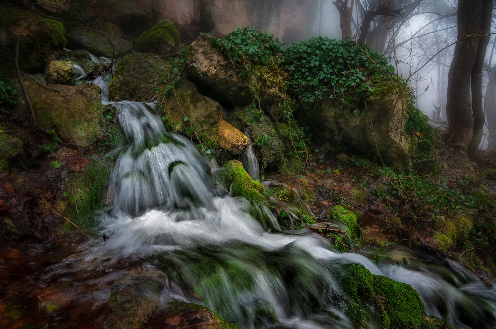 Истоки реки Темиар