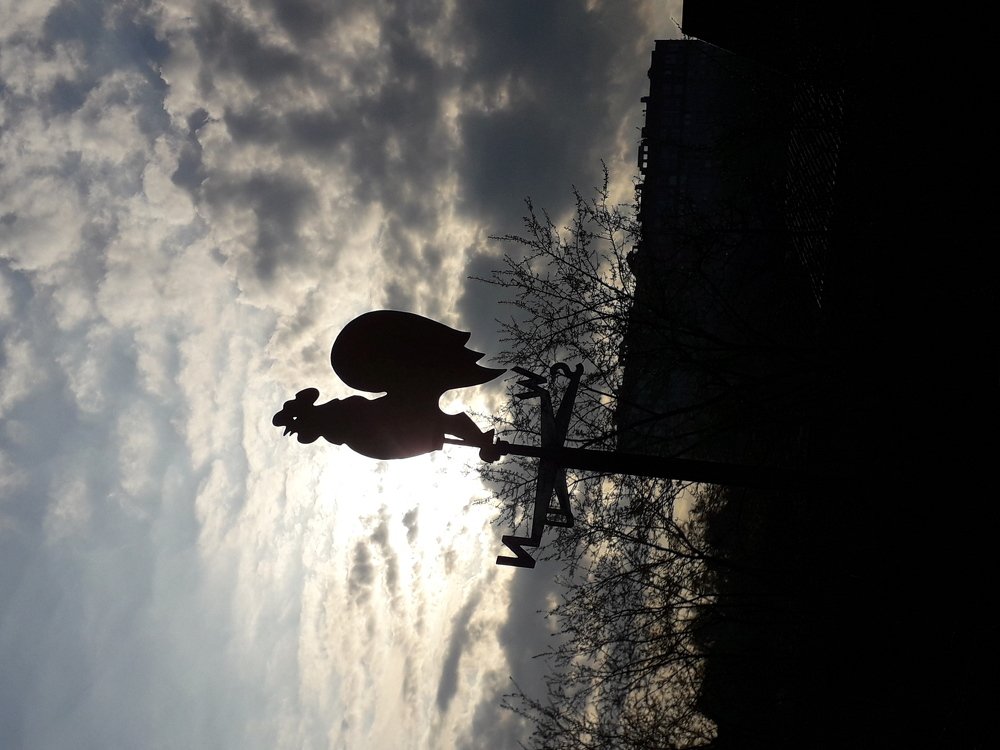 Кукареку....! Солнышко встает!)