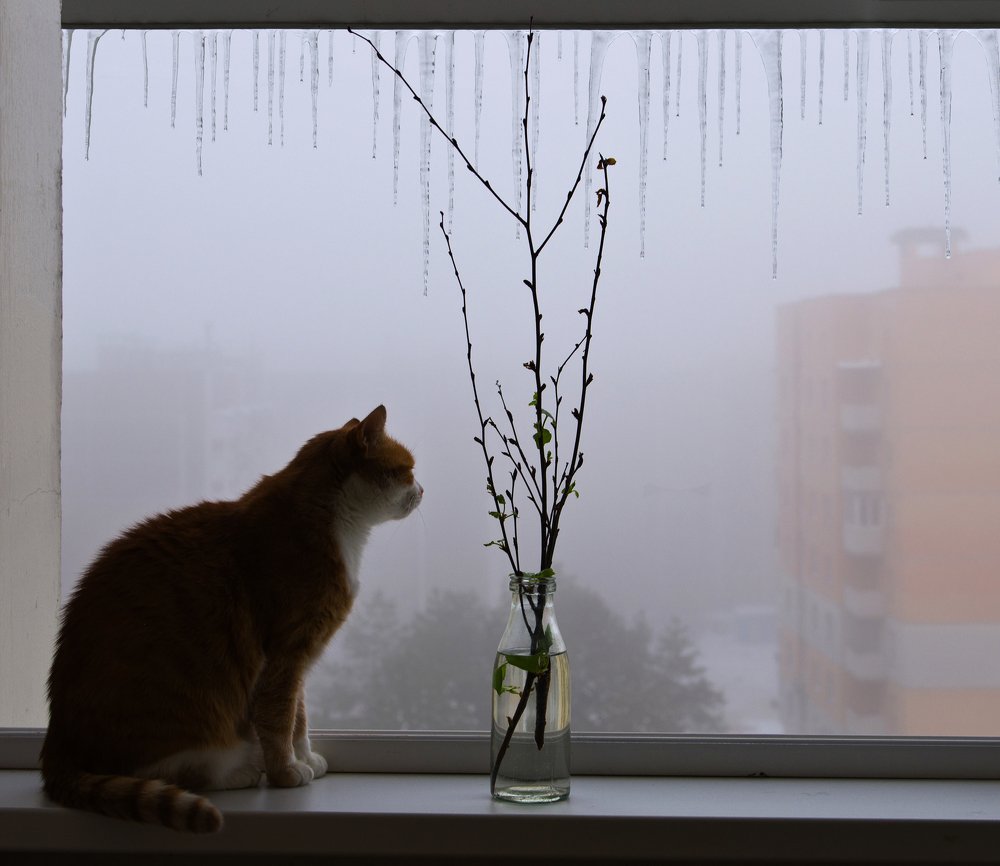 Скоро лето.