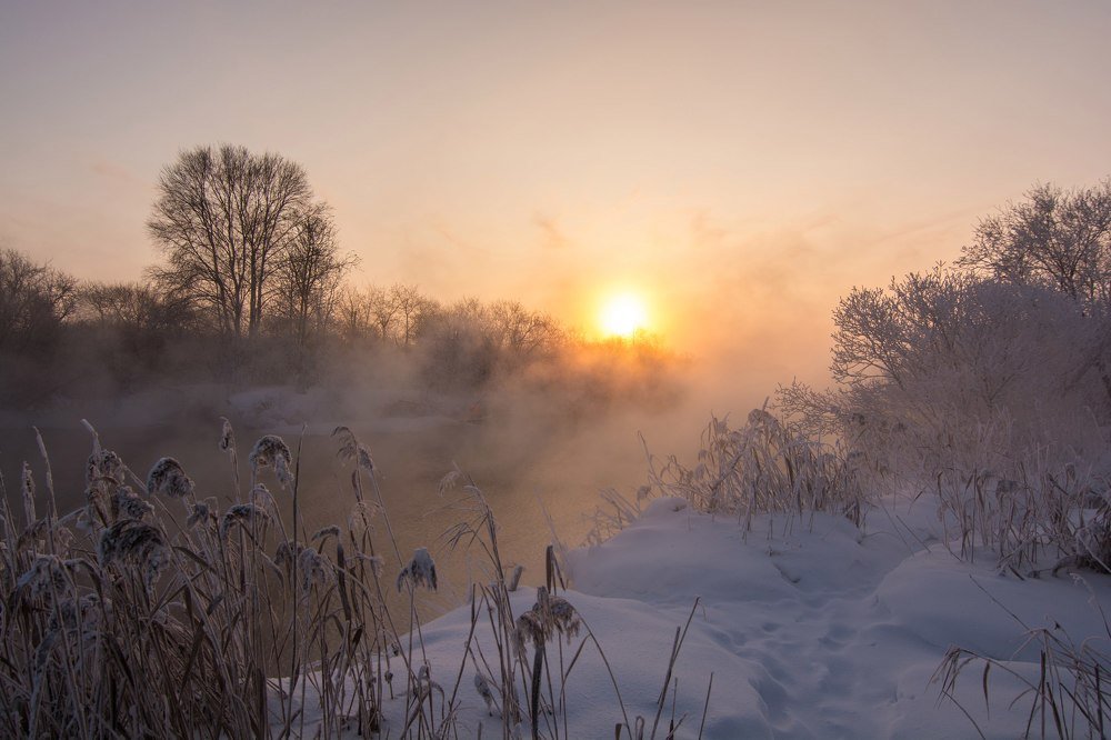 Photograph by Максим Ватрушкин