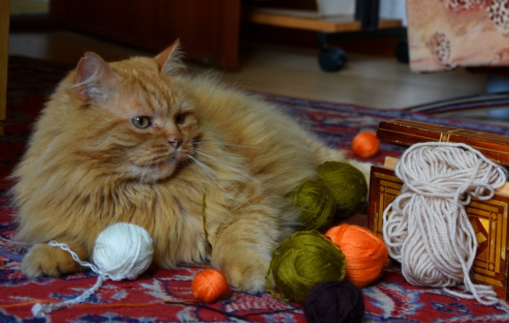 Хорошо поиграл!