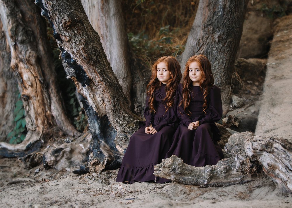 Лисички-сестрички