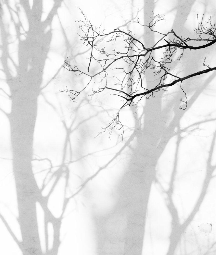 Тень на стене