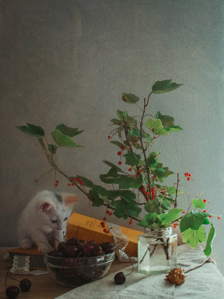 Натюрморт с кошкой и ягодами