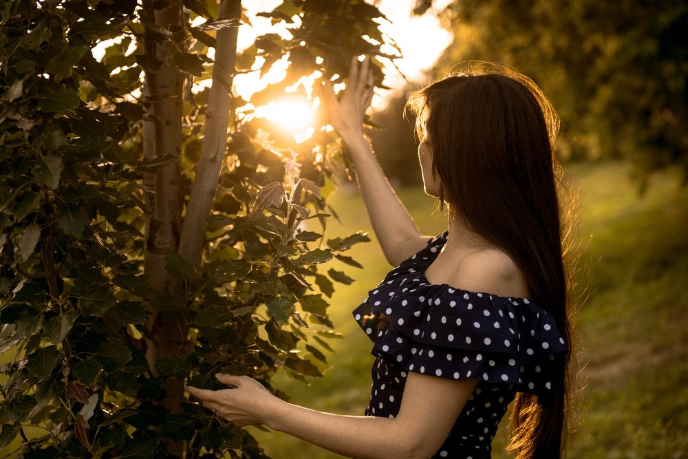 Хороший летний вечер.