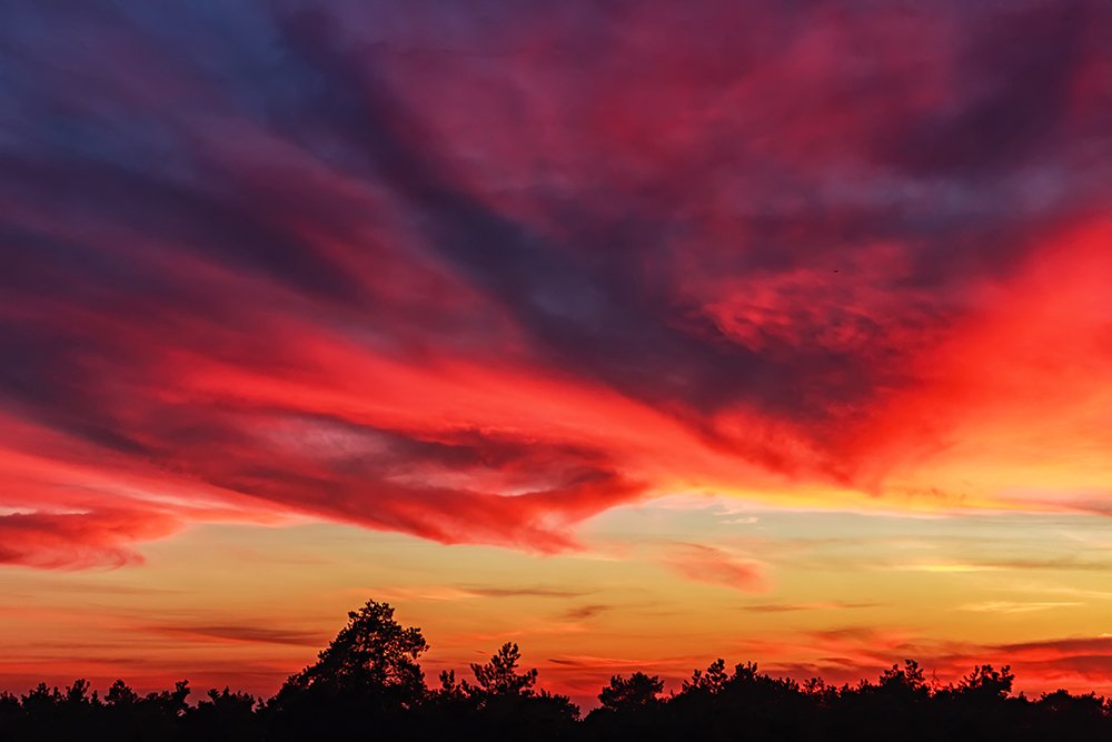 Небо в огне