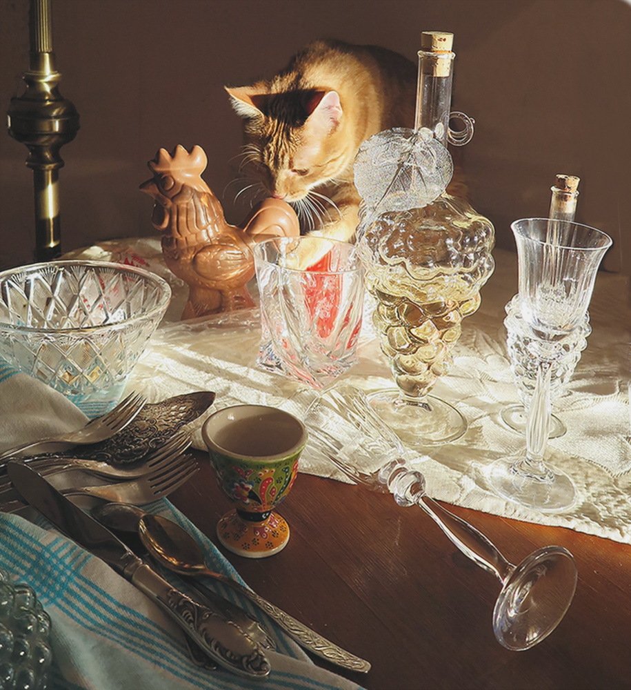 Все будет в шоколаде