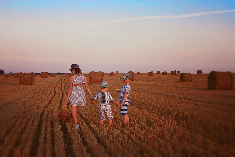 Полосатое трио