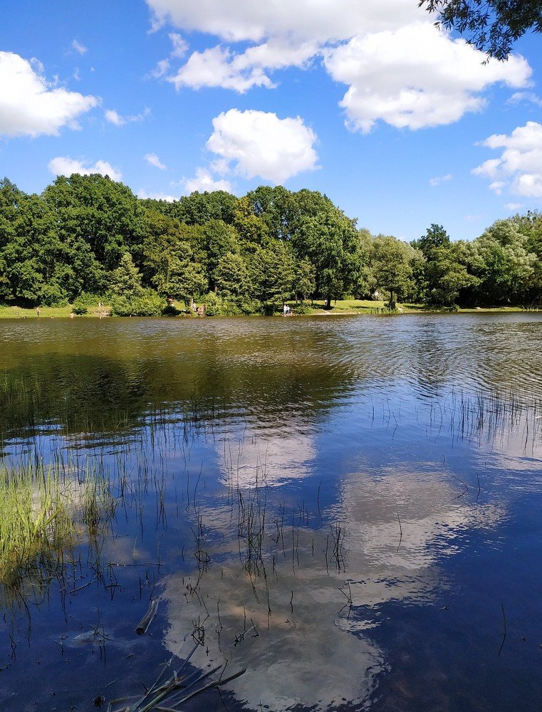 Облака в воде