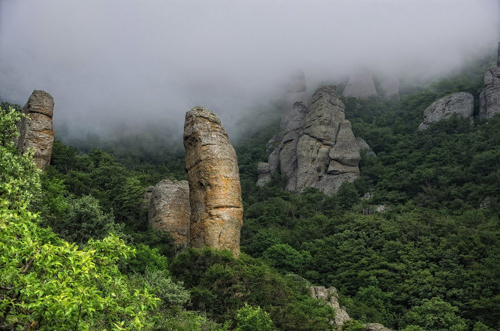 Туман и формы