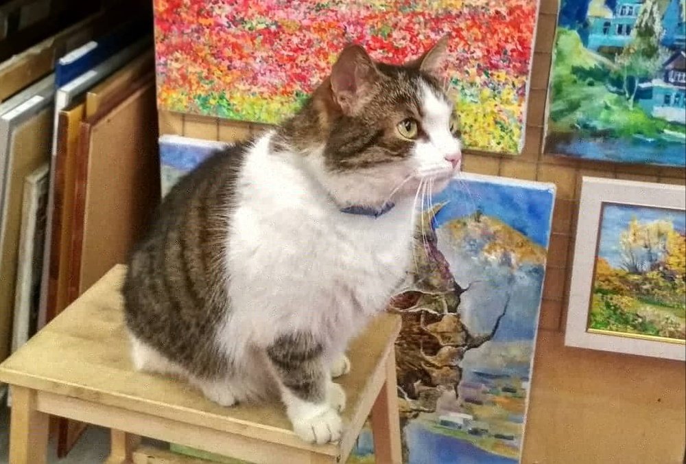 Photograph by Любовь Макарова