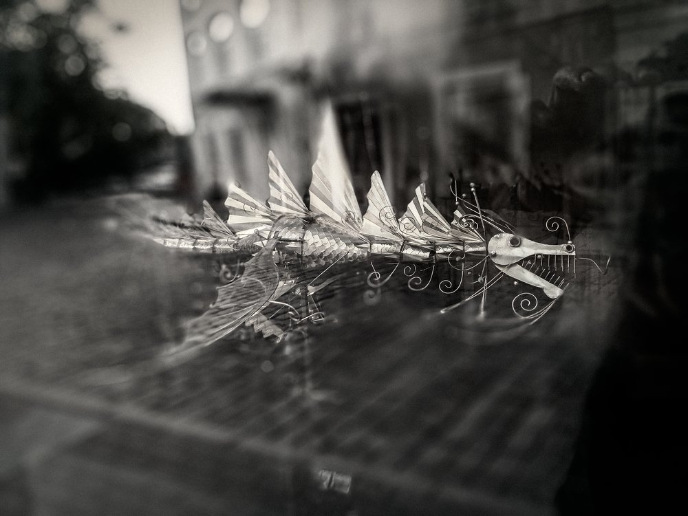 Photograph by Геннадий