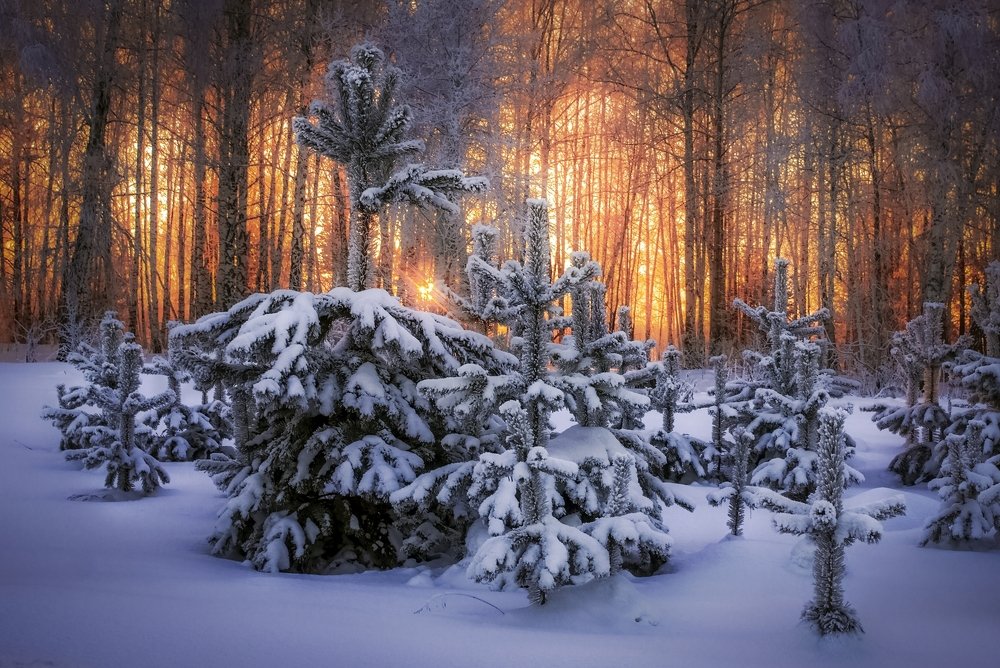 Январский закат