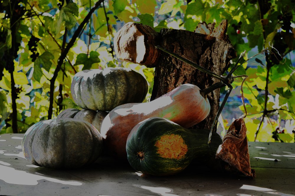 Натюрморт живописный