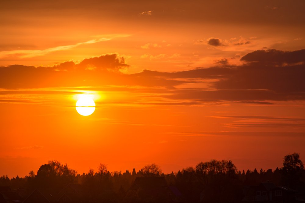 Photograph by Ольга Шацкая