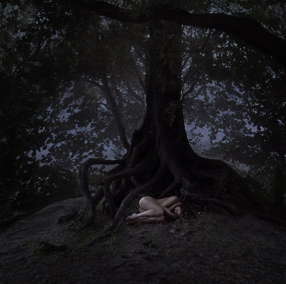 Photograph by Мария mahagon Махначева