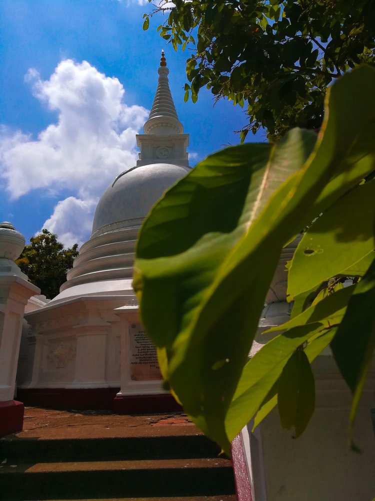 In the temple . Gampha srilanka