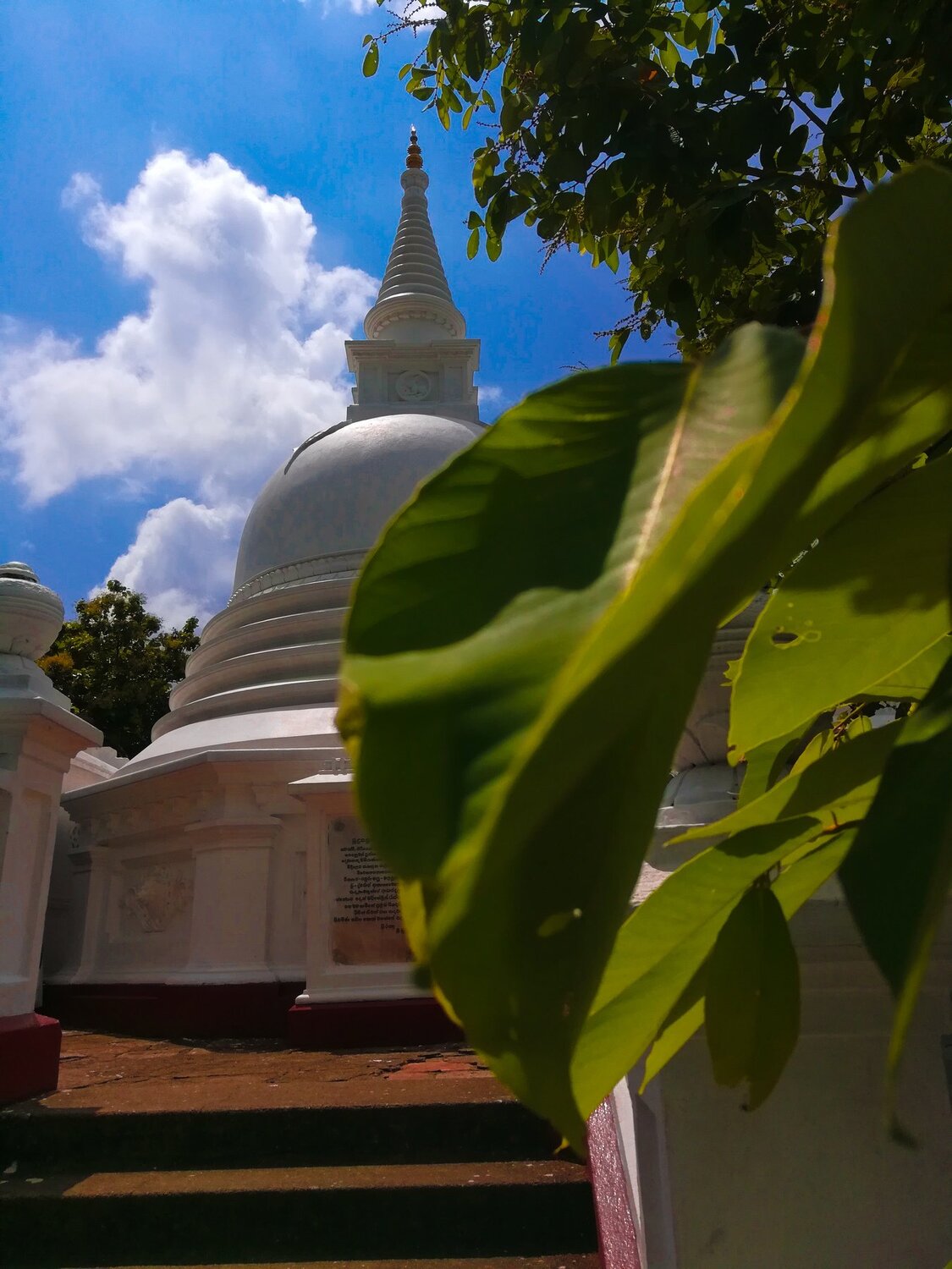 In the temple . Gampha srilanka