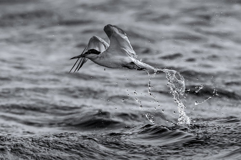TAKE OFF