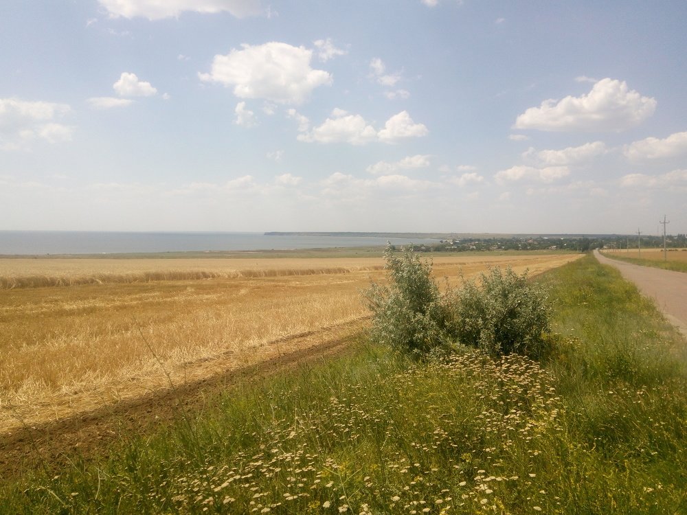 Край над лиманом