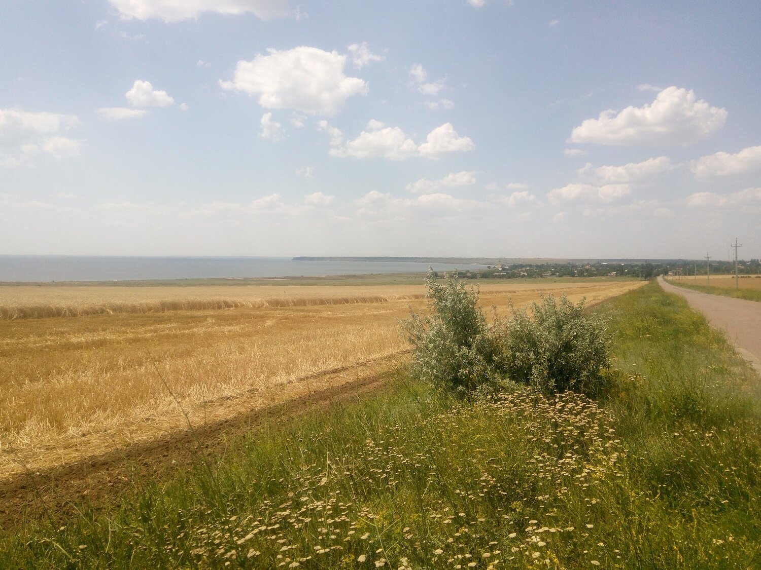 Край над лиманом