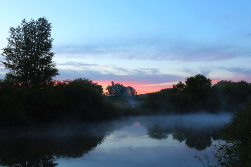 Туман над рекой