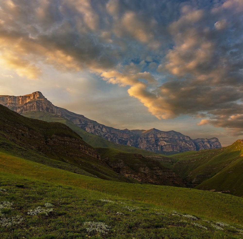 золотой пыльцою осыпая...