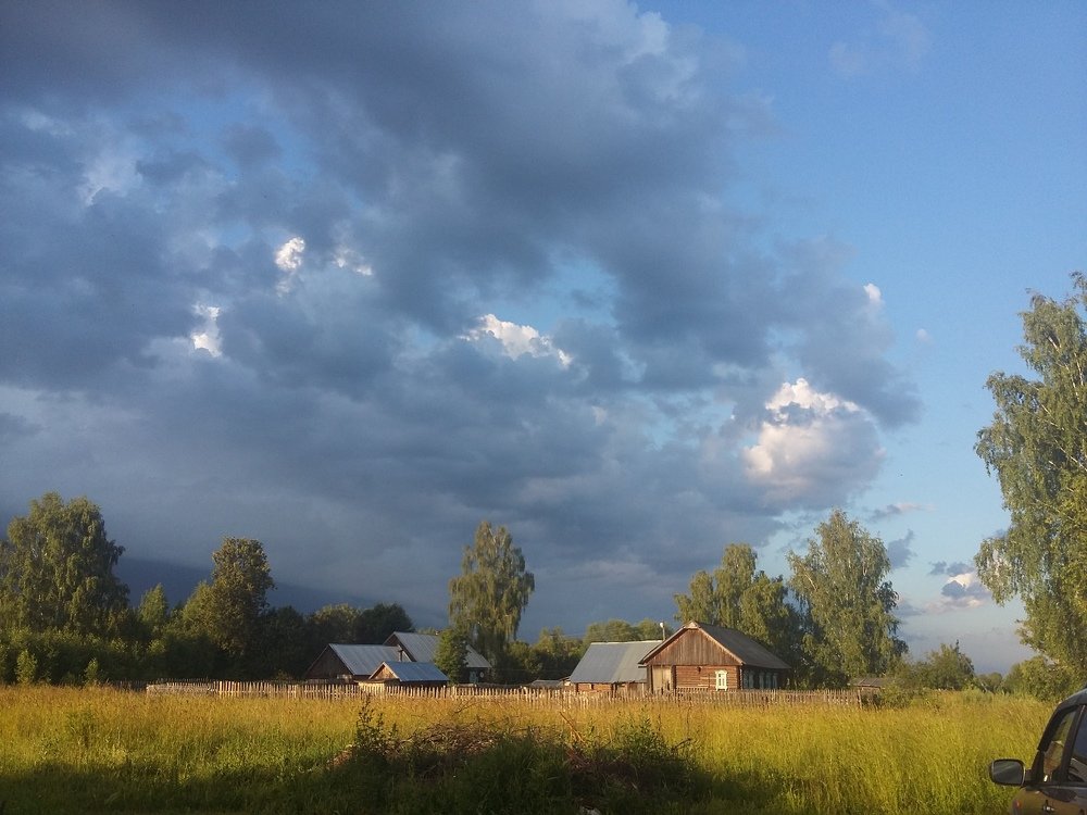 Photo #3363686