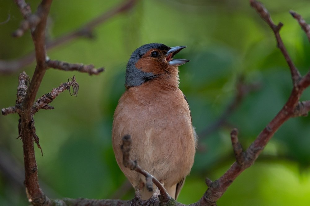 Photograph by Георгий Ковалев