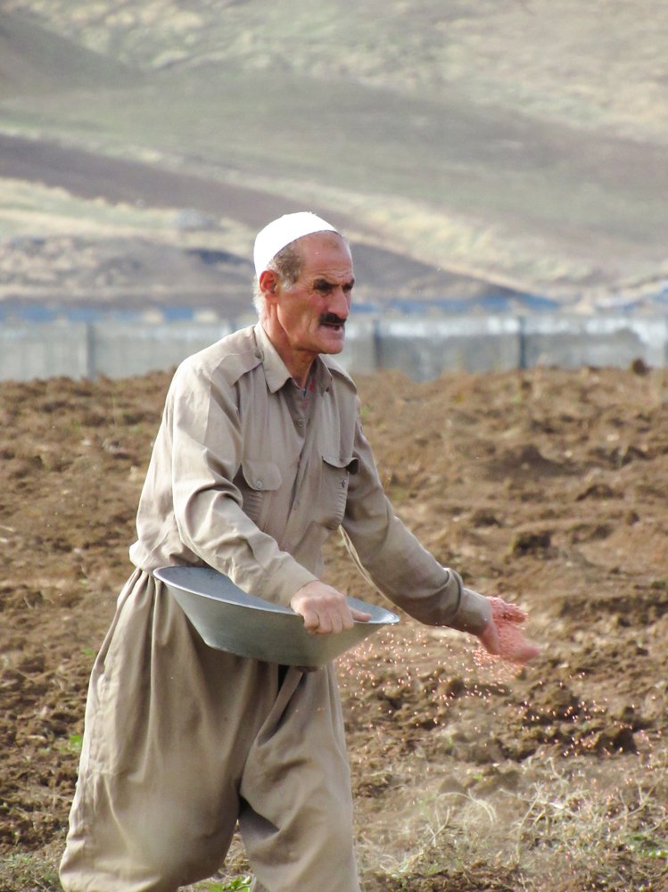 Фотография автора taher sabahi