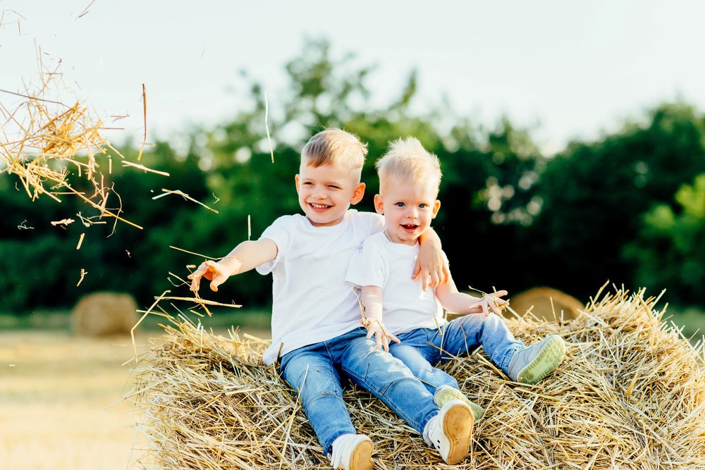 солнце, сено и много счастья