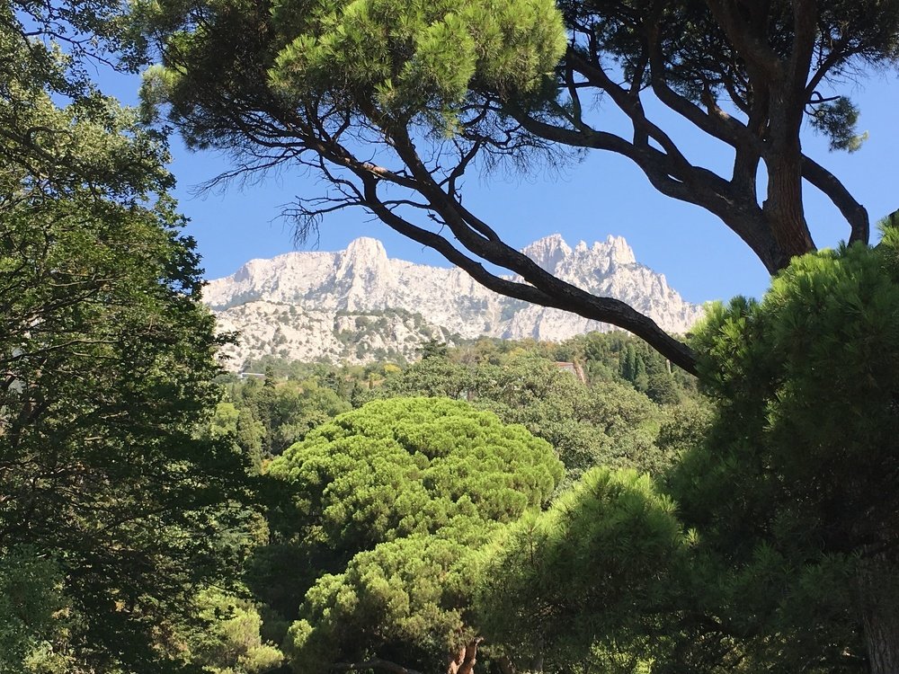 Вид на гору Ай-Петри из Воронцовского парка