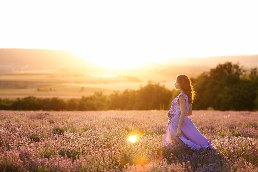 Горная лаванда