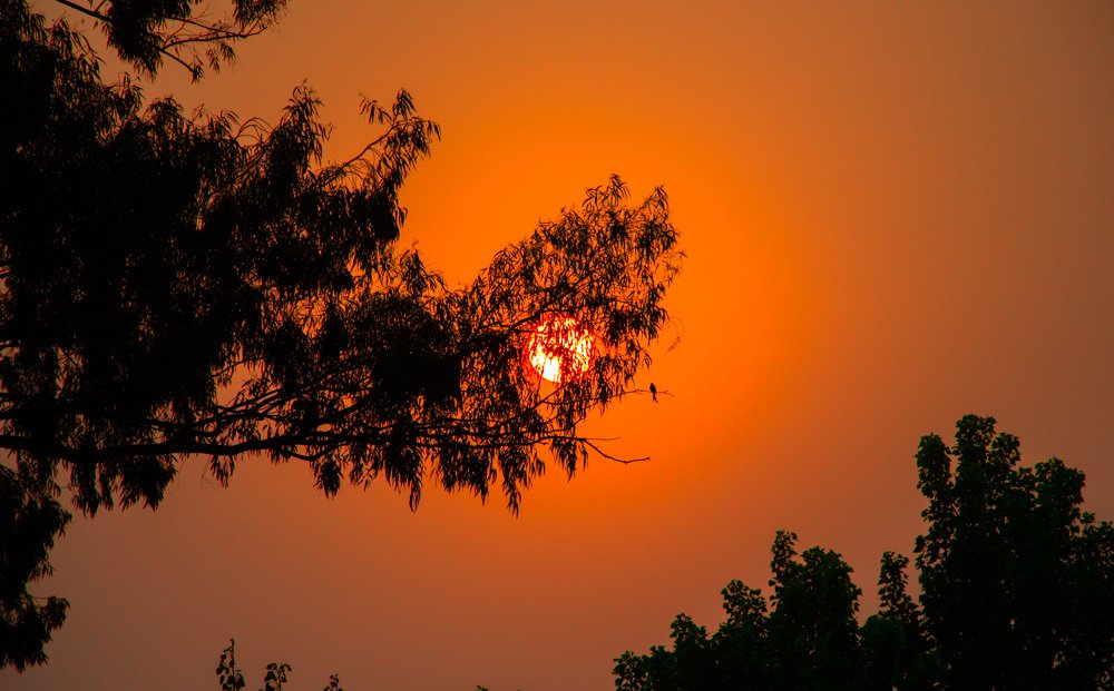 Sunrises and sunsets