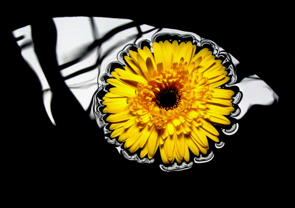 Beauty of Reflections