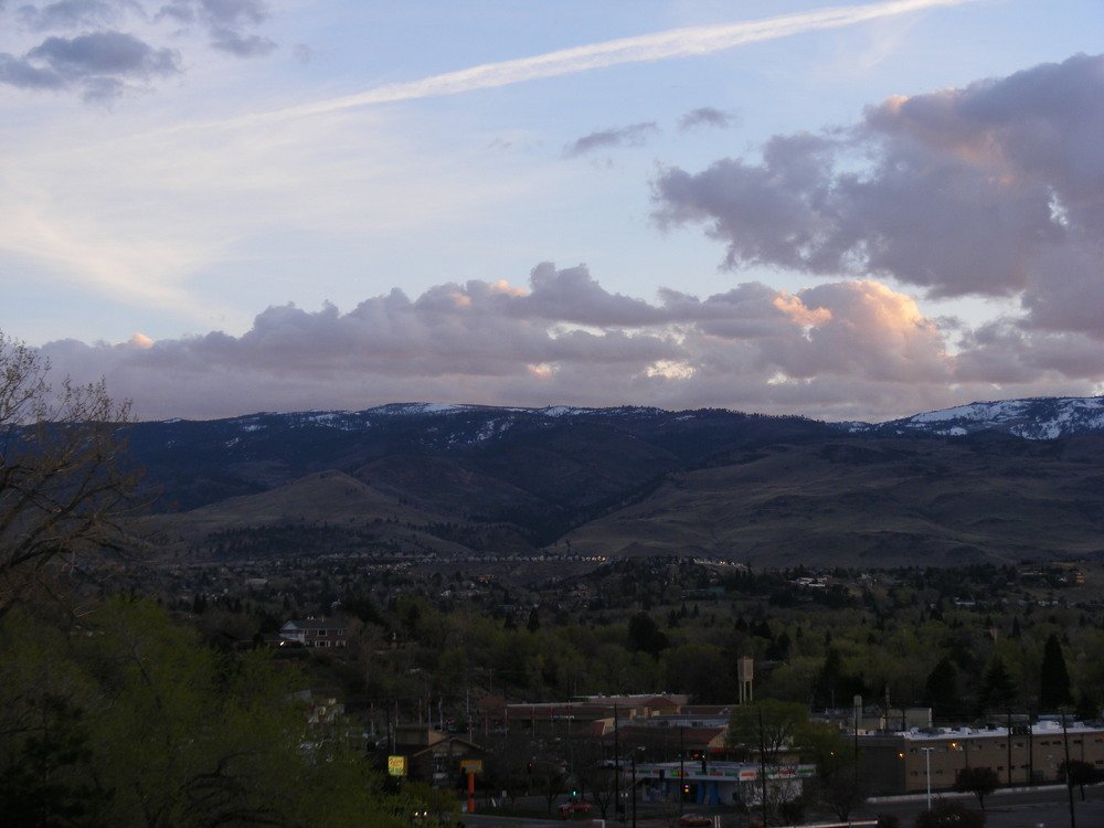 The View