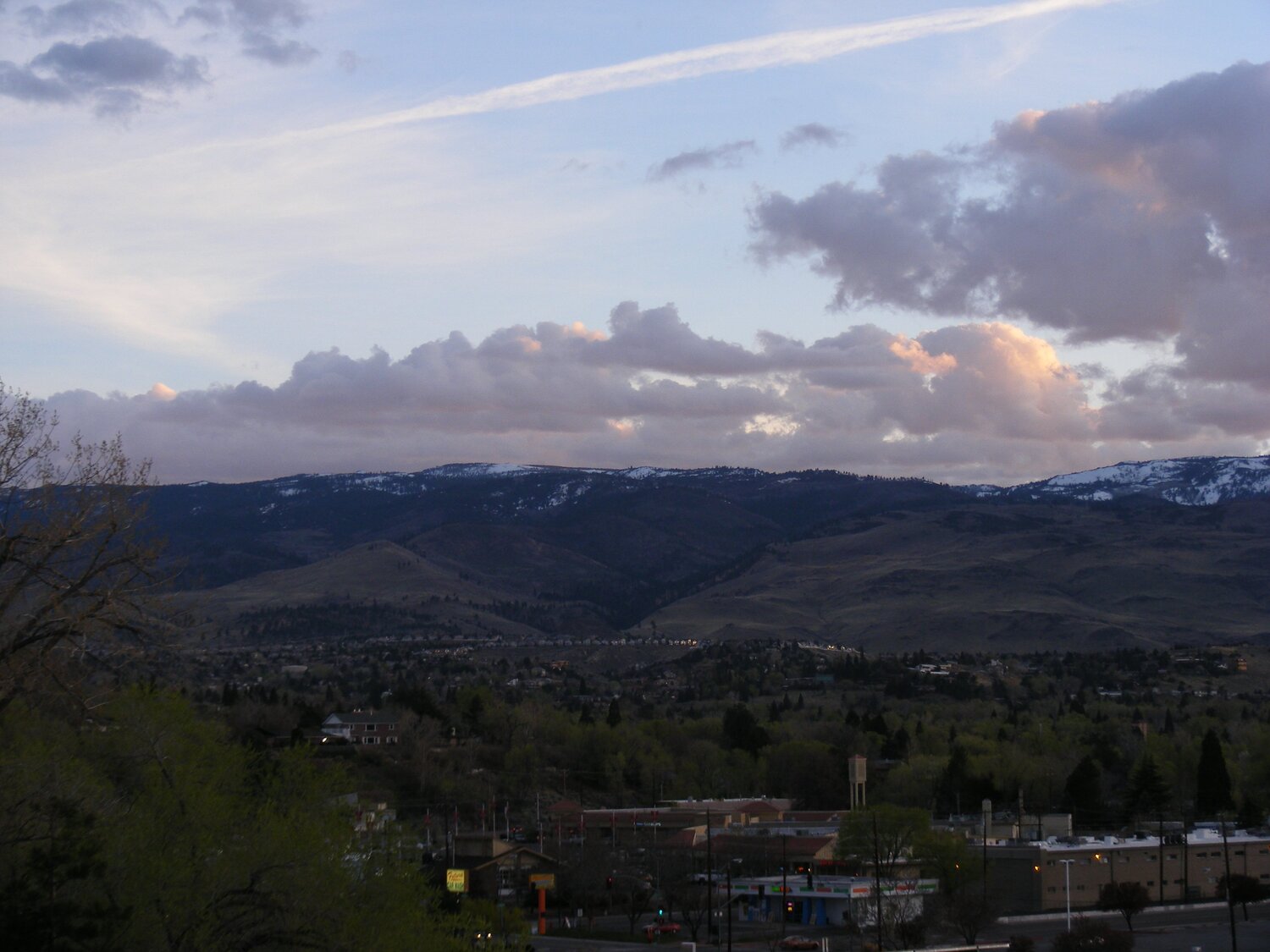 The View