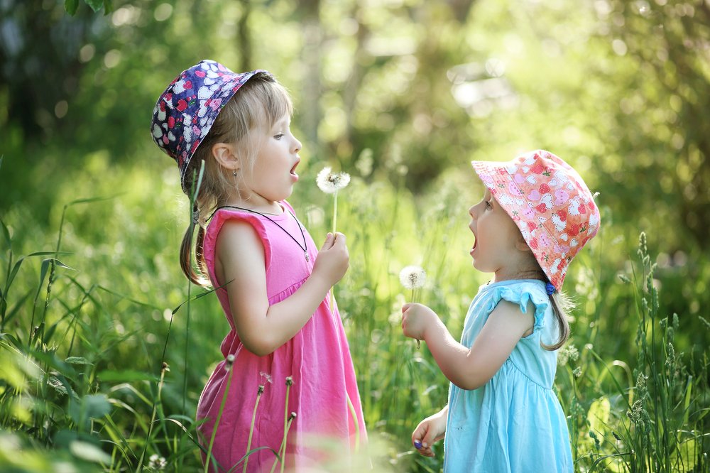 Сестрички-одуванчики