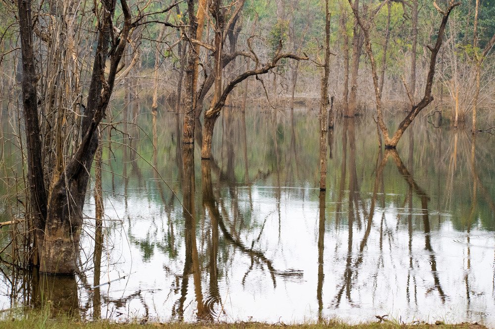 Photographing with crimea